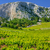 Vineyards, southern coast of Hvar, Croatia stock photo © brozova