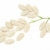 roślin · w · górę · pigułki · medycyny · alternatywnej · kwiaty · charakter - zdjęcia stock © brozova