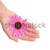Hand of young woman holding Echinacea flower stock photo © brozova