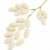 plantă · in · sus · pastile · flori · natură - imagine de stoc © brozova