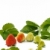 fresa · crecimiento · aislado · blanco · flor · alimentos - foto stock © brozova