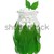 szárított · növénygyűjtemény · kiegészítő · tabletták · friss · levelek · üveg - stock fotó © brozova