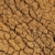 Cracked dry ground texture stock photo © brozova