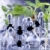 plantas · laboratório · genético · ciência · médico · tecnologia - foto stock © BrunoWeltmann