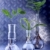 Plants in laboratory. Genetic science stock photo © BrunoWeltmann