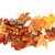 Autumn dried multicolor maple leafs stock photo © BSANI