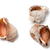 Three empty shells from rapana venosa stock photo © BSANI