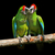 Parrot (Severe Macaw) stock photo © byrdyak