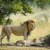 лев · тесные · парка · Кения · Африка · кошки - Сток-фото © byrdyak