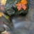 pomarańczowy · liści · kamień · liścia · strumienia - zdjęcia stock © ca2hill