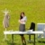 Businesswoman in sunny meadow nature office smile stock photo © CandyboxPhoto