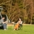 camping · coche · disfrutar · picnic - foto stock © CandyboxPhoto