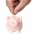Man is putting money into saving pig stock photo © carenas1