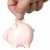 Man is putting money into saving pig stock photo © carenas1