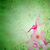 pink little flower fairy on the green spring or summer grunge ba stock photo © cherju