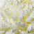 macro · umed · crizantema · mugur · creamy - imagine de stoc © chesterf