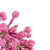 fleurs · main · poste · espace · de · copie · texte - photo stock © chesterf