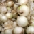 biały · cebule · świeże · żywności · gospodarstwa - zdjęcia stock © chrisbradshaw