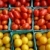 pomidorki · mały · żywności · gospodarstwa · rynku - zdjęcia stock © chrisbradshaw