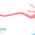 cancerul · de · san · pasă · pink · ribbon · femeie · web · steag - imagine de stoc © cienpies
