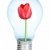 Electrobulb with a bunch of tulips stock photo © cookelma