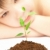 boy looks at a young plant stock photo © cookelma