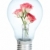Electrobulb with a bunch of rose stock photo © cookelma