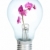 Electrobulb with a bunch of orchid stock photo © cookelma