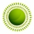 zielony · liść · słońce · obraz · zdrowia · ziemi · zielone - zdjęcia stock © cteconsulting