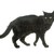 old black cat stock photo © cynoclub