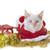 white kitten and christmas stock photo © cynoclub