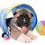 puppy american akita stock photo © cynoclub