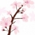 向量 · 櫻桃 · 支 · 春天 · 抽象 · 白 - 商業照片 © Dahlia