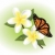 vector · vlinder · bloem · abstract · ontwerp · blad - stockfoto © Dahlia