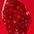 grenade · pièce · rouge · isolé · nature · fruits - photo stock © deandrobot