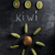 kiwi · oscuro · pizarra · superior · vista · imagen - foto stock © deandrobot