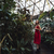 美 · 女性 · 赤いドレス · ポーズ · 温室 · 見える - ストックフォト © deandrobot