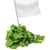 gesunden · Bio-Lebensmittel · frischen · grünen · Rakete · Blätter - stock foto © designsstock