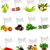 gezonde · ingesteld · vers · vruchten · groenten - stockfoto © designsstock