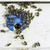 Bees entering the hive stock photo © deyangeorgiev