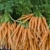 производить · органический · морковь · отображения · Фермеры · рынке - Сток-фото © dgilder