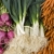 производить · органический · овощей · морковь · отображения · Фермеры - Сток-фото © dgilder