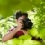 young male photographer hiking in forest  stock photo © diego_cervo
