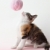 猫 · 演奏 · 糸 · トリコロール · 女性 · 子猫 - ストックフォト © diego_cervo