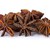 Spices: close-up shot of dried-up anise-tree inflorescences macro stock photo © digitalr