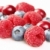 fructe · de · padure · proaspăt · natură · medicină · roşu - imagine de stoc © Dionisvera