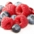 dulce · fructe · de · padure · natură · medicină · roşu - imagine de stoc © Dionisvera