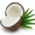Kokosnuss · Blätter · geschnitten · Essen · Natur · Obst - stock foto © Dionisvera