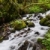 stream · lussureggiante · fiume · impianti · spray - foto d'archivio © disorderly