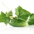 Fresh raw cucumber with leaves and flower on white  stock photo © dla4